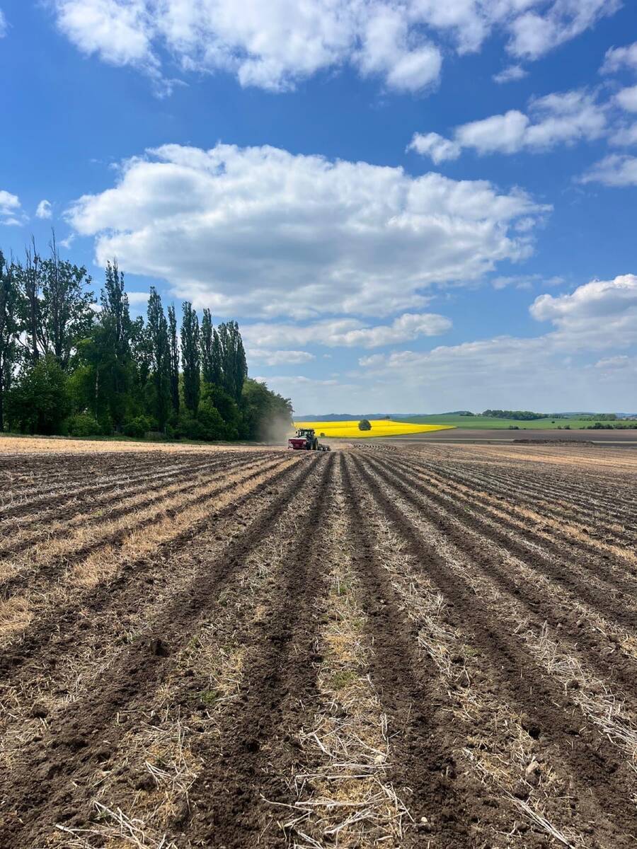 Pásy po strip-till
